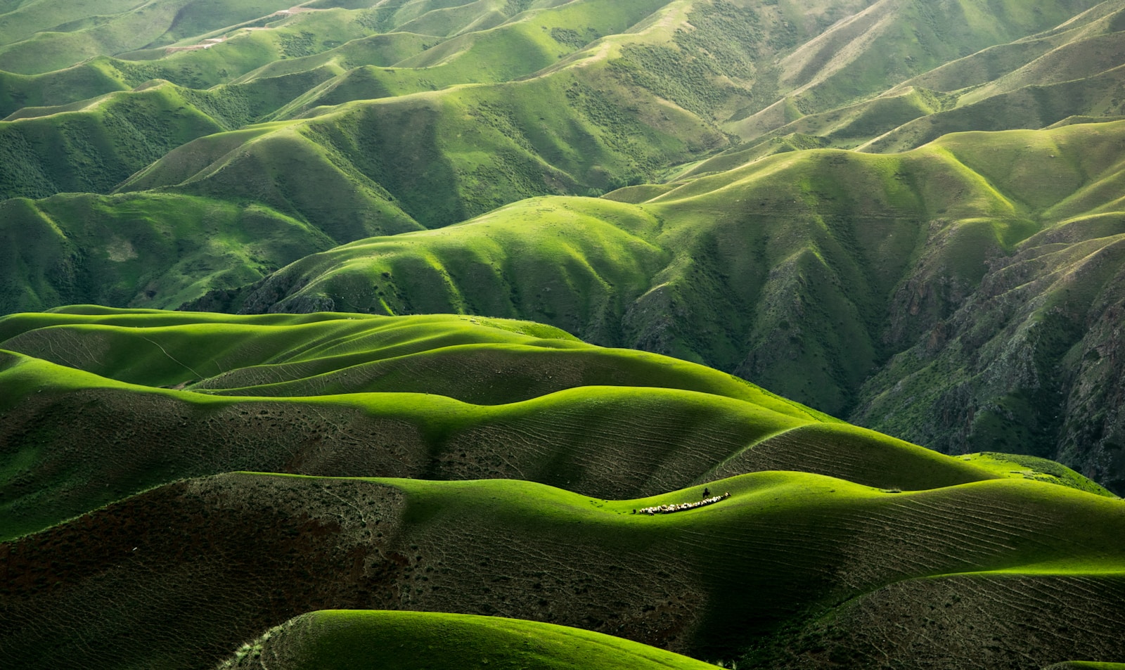 Idaho