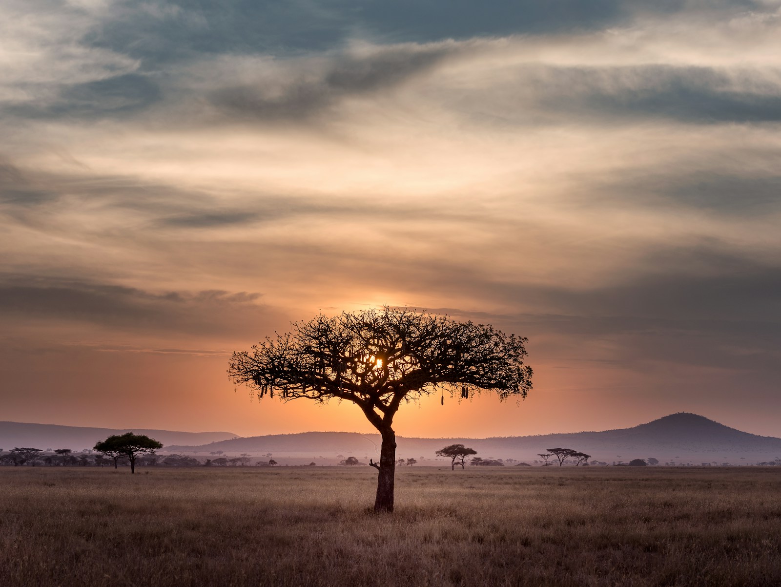 Travelling to West Africa: What You Actually Need to Know About Ebola