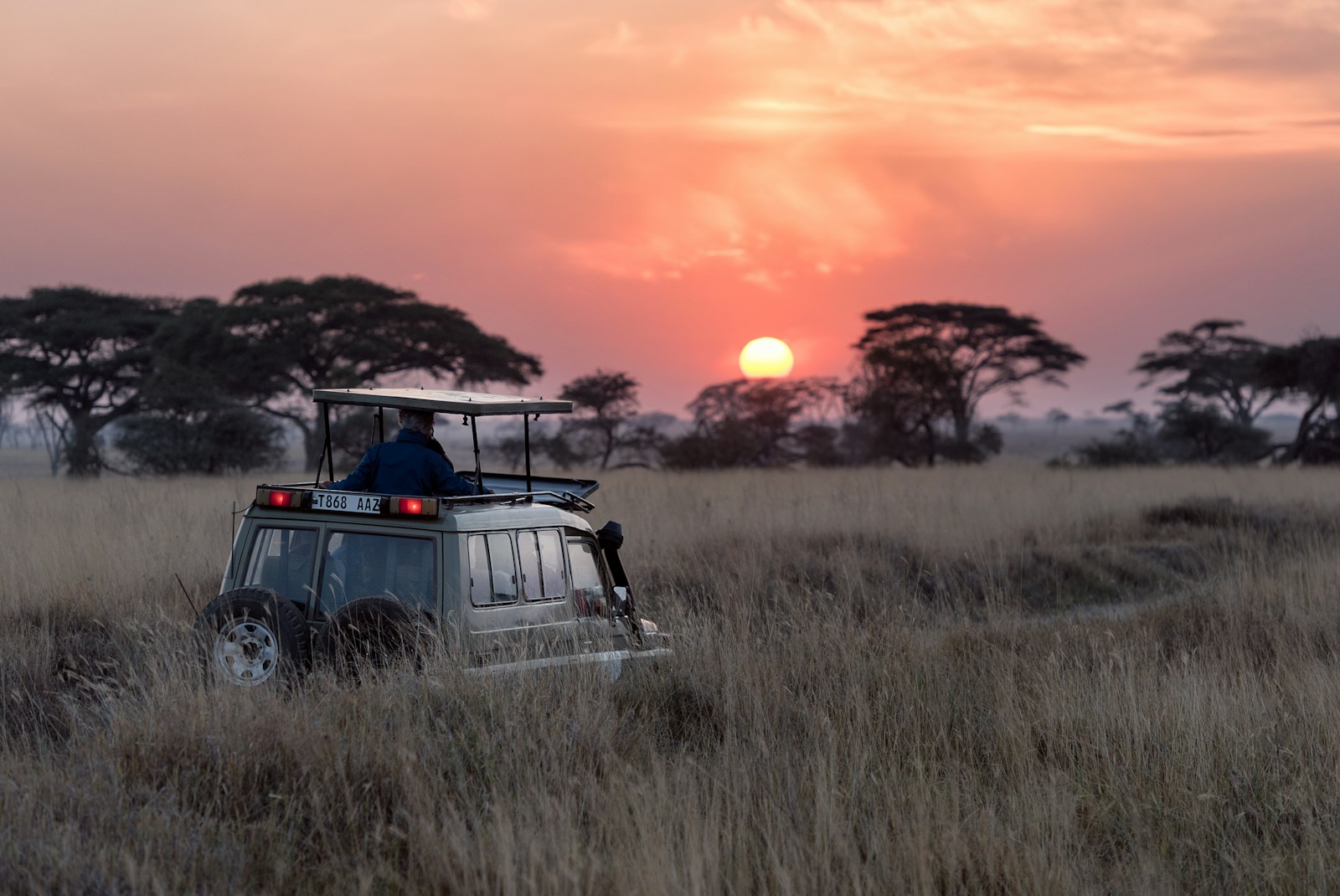Maasai Mara & Nairobi