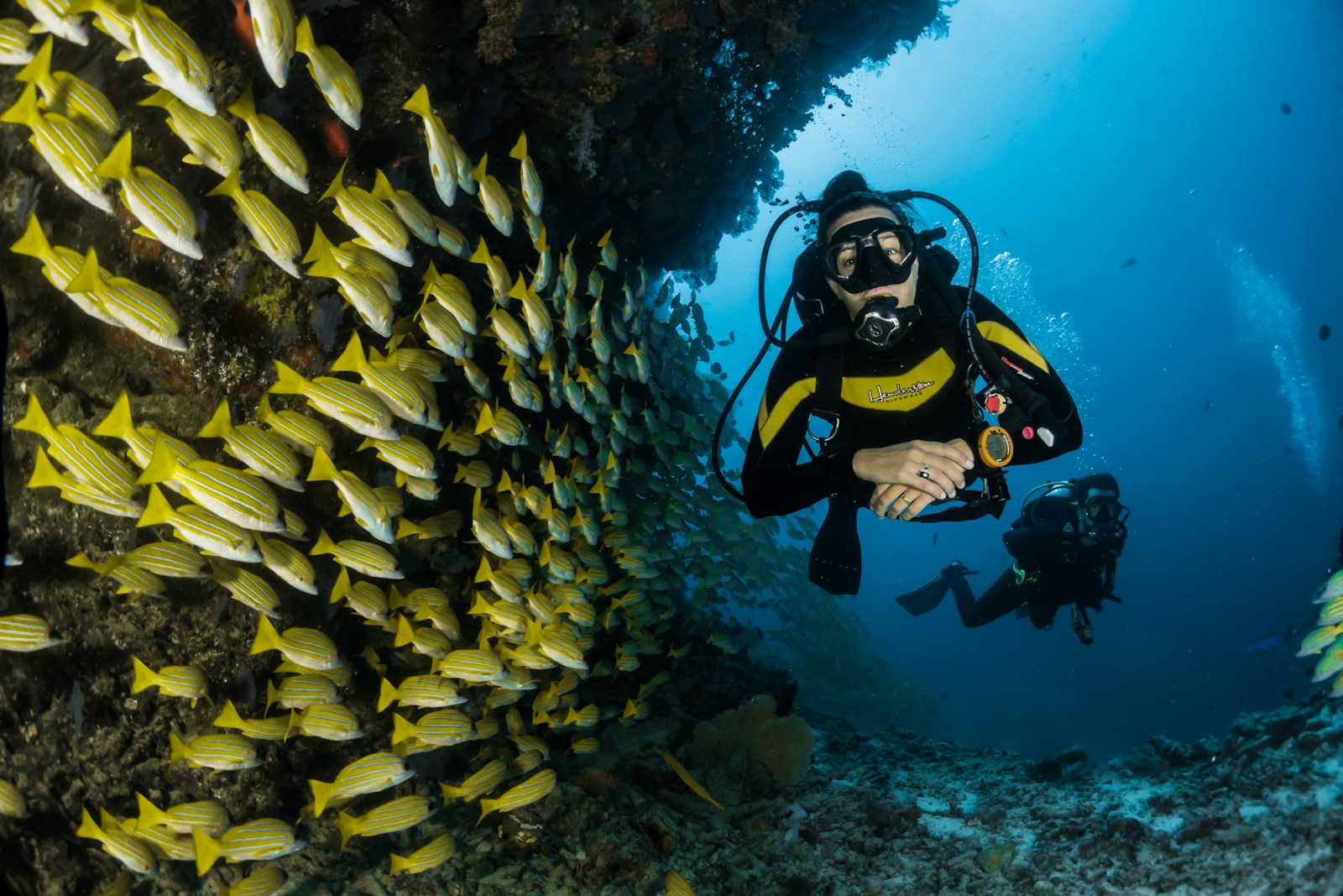 Great Barrier Reef