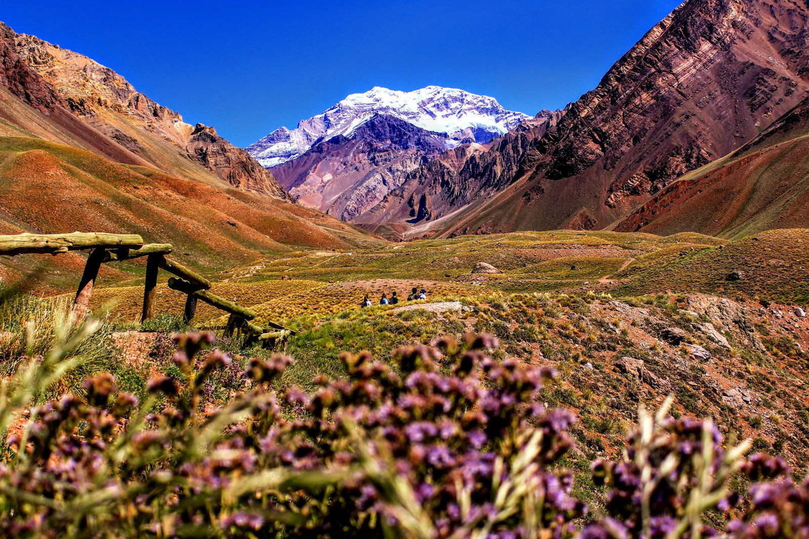 Mendoza