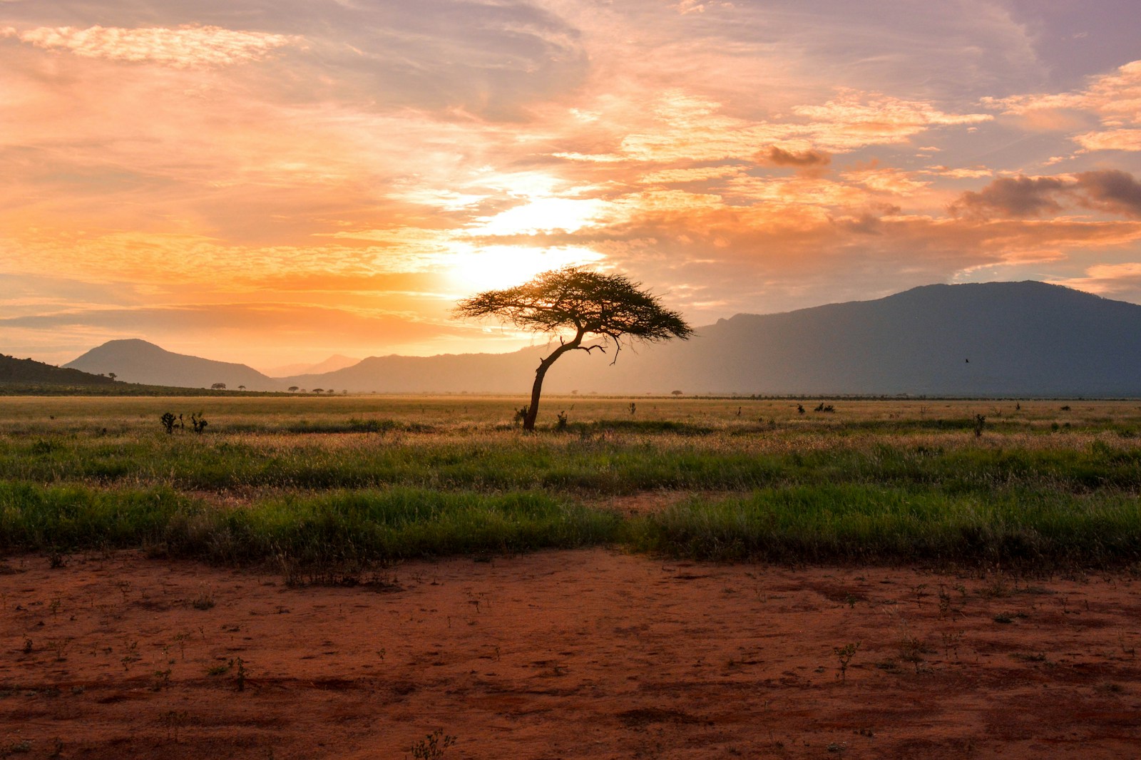 Okavango Delta