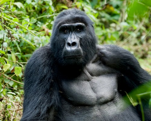 Rwanda