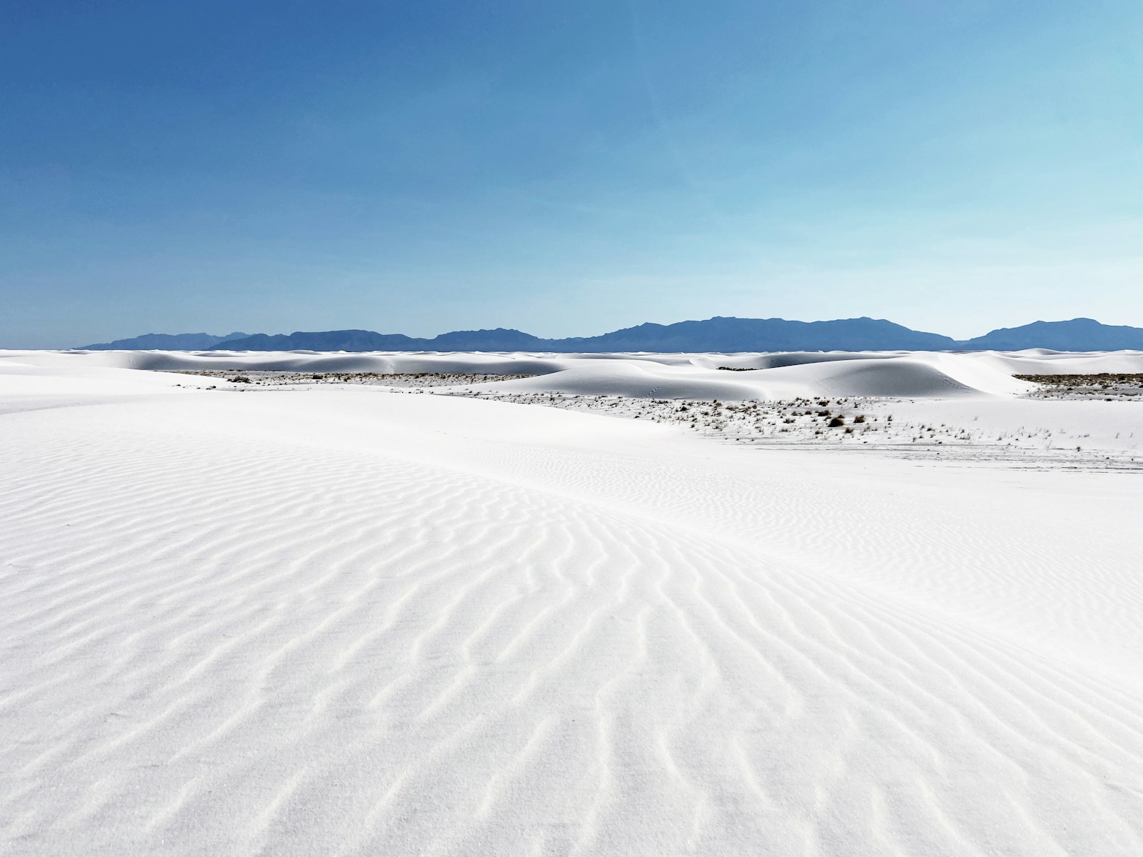 New Mexico