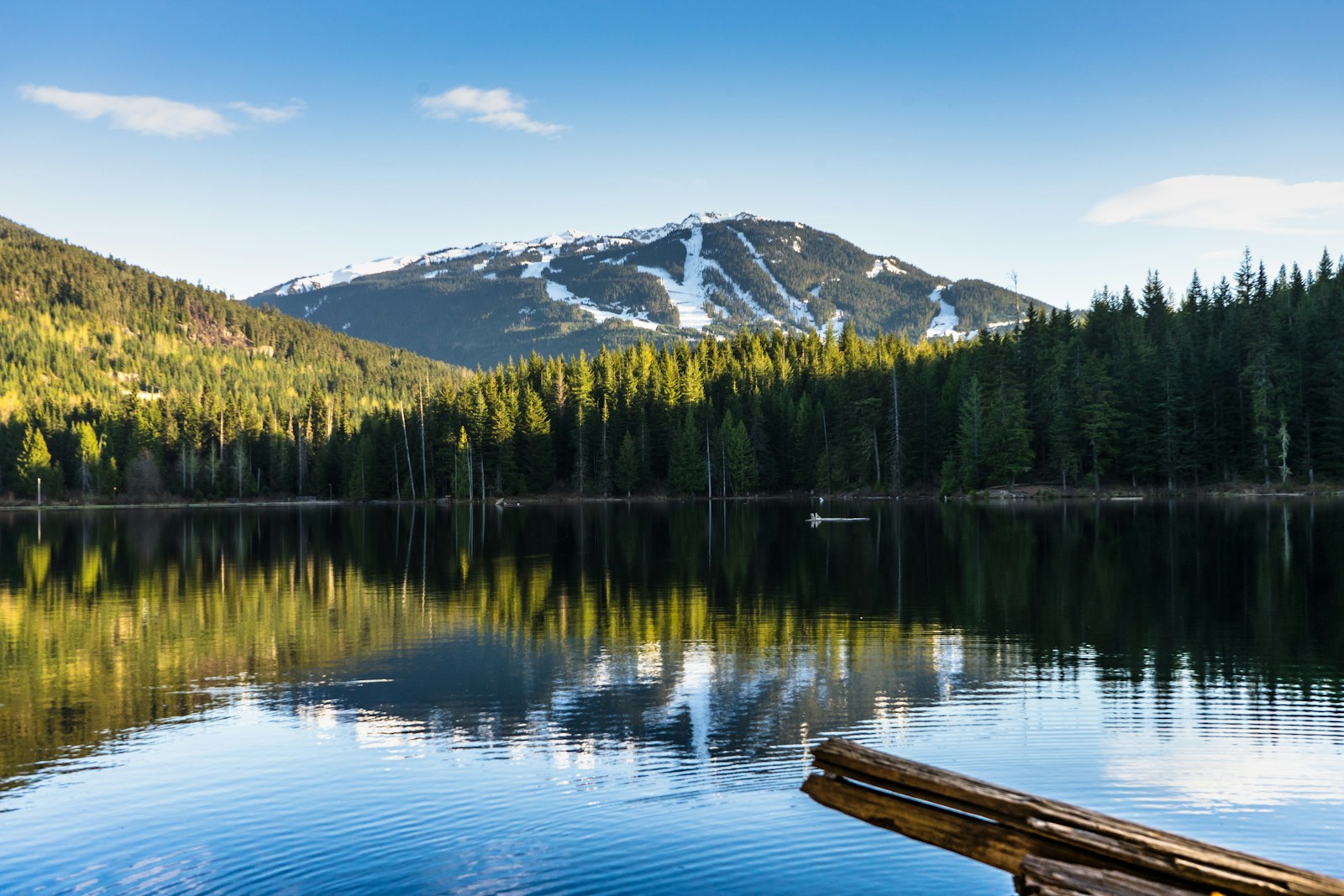 Whistler