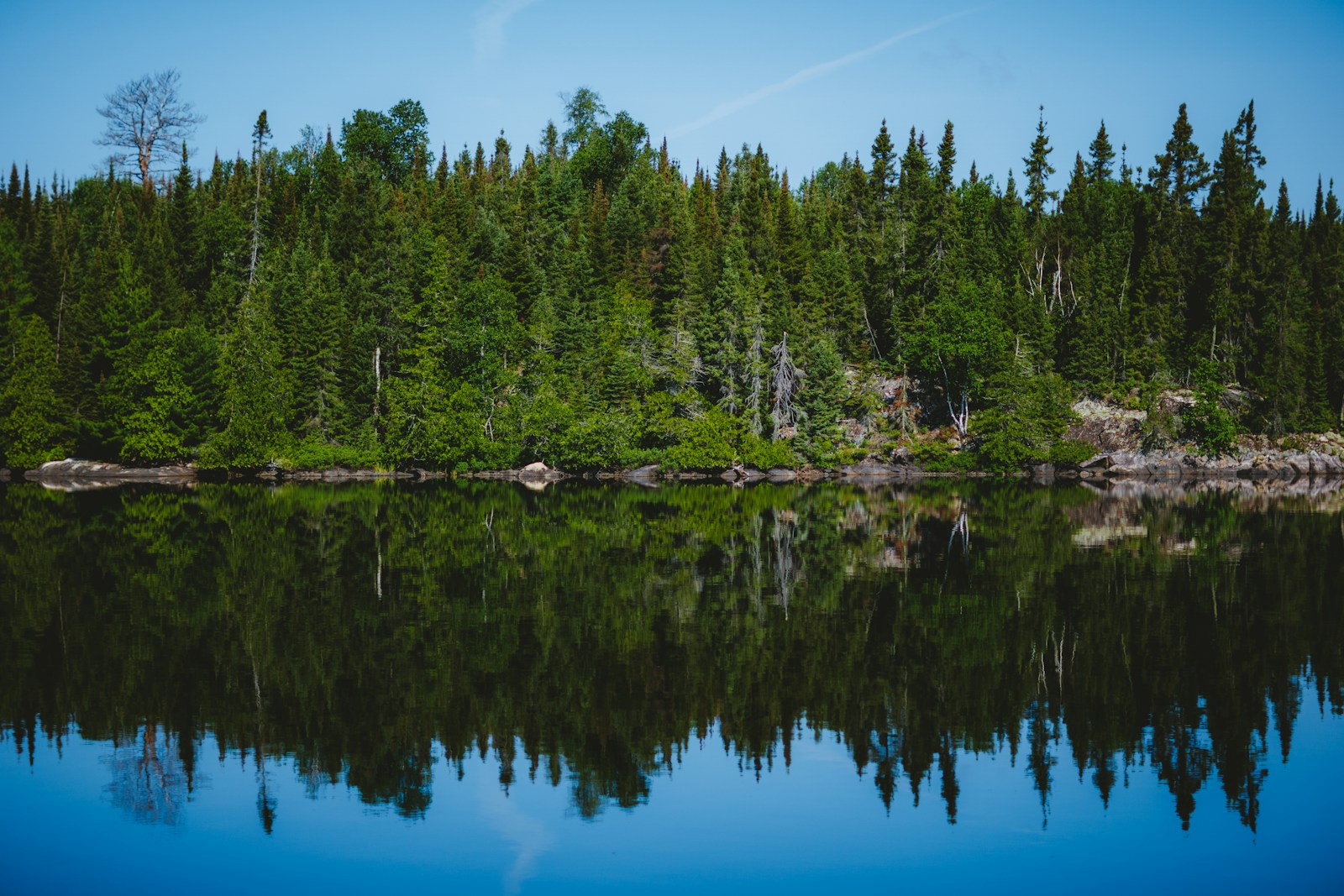 Minnesota